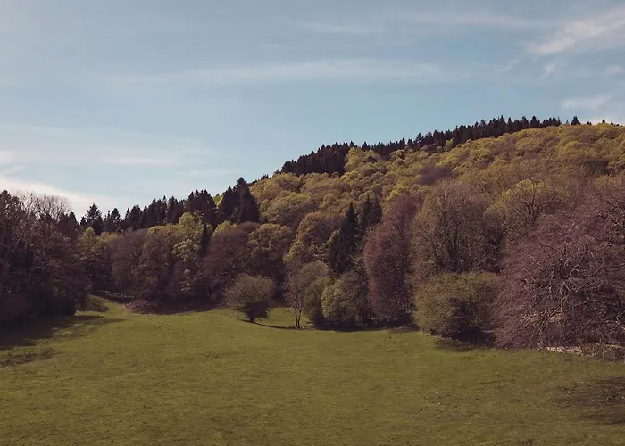 Top Hotels with Hot Tubs in Windermere