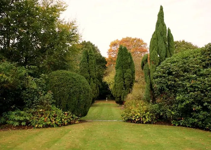 Best Hotels in Horsham District for Every Traveler