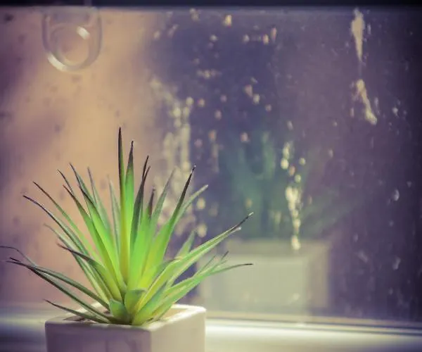 Best Cheap Hotels in Bromley Kent