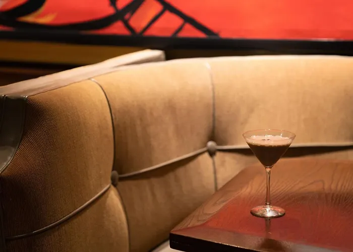 Top Pet Hotels in Houston for Unforgettable Stays