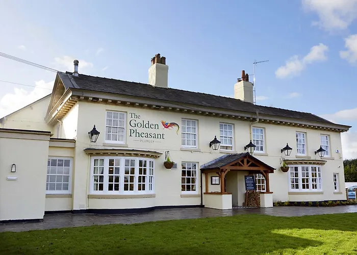 Dog Friendly Hotels in Knutsford - Find Your Perfect Accommodation Option
