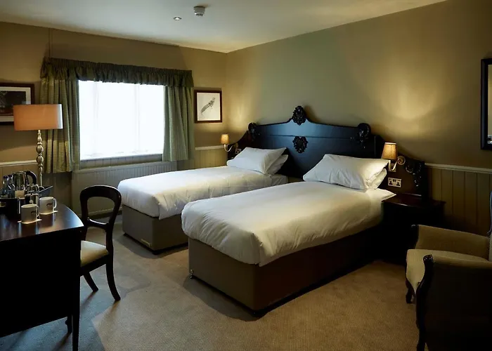 Best Dog Friendly Hotels in Knutsford